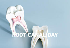 Happy Root Canal Day! 
